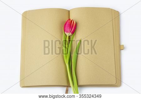 Blank Open Diary (notebook, Sketchbook) Decorated With Spring Red Tulips With Space For Text Or Lett