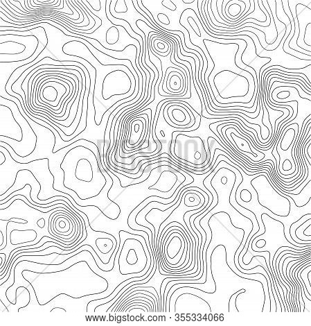 Grid Map. Topographic Map Background. Abstract Vector Illustration.
