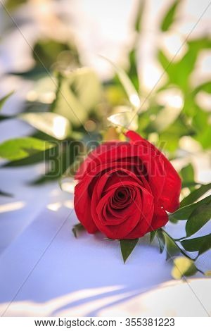 Red Rose And Green Leaves And Stems On A White Linen Table Cloth
