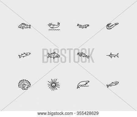 Seafood Icons Set. Salmon And Seafood Icons With Cod Fish, Harbor Seal And Carp Fish. Set Of Catfish