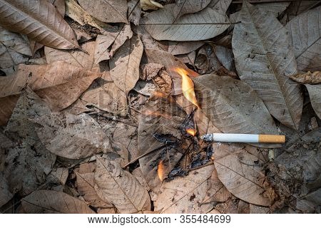 Close Up Cigarette Butt Non-smoked Carelessly Are Thrown Into Dry Grass On The Ground Causing A Dang