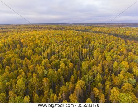 Alaska Route 3 Aka George Parks Highway And Alaska Landscape Aerial View In Fall With The Morning Su
