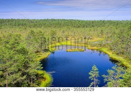 Viru Bog (viru Raba) In Lahemaa National Park, A Popular Natural Attraction In Estonia. Picturesque 