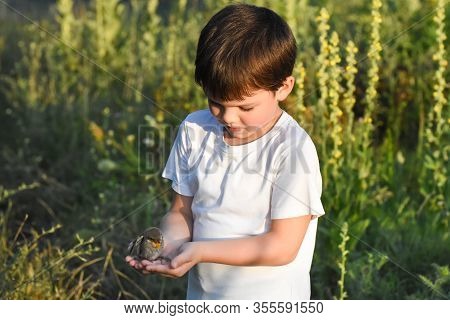 Excited Boy Holding A Little Bird In Hand. Little Child Saved Little Bird