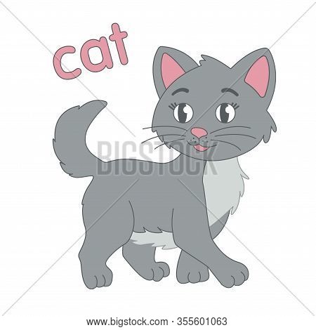 Grey Cat For Children Without A Background
