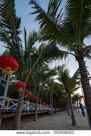 Chinese Lanterns Hanging On Palm Trees In Hainan, Sanya, China.