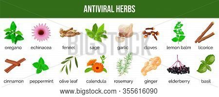 Set Of Antiviral Herbs..food Sources, Natural Herbs And To Neutralize Viruses. Healthy Lifestyle.