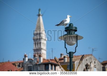 Rovinj