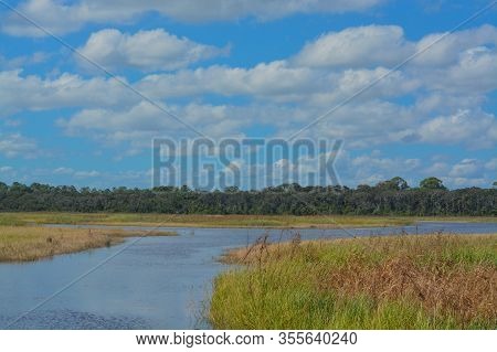 Guana River Wildlife Refuge In St Johns County Florida Usa