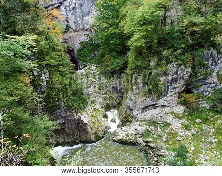 Canyon And Gorge Of The River Rak In The Skocjan Caves Park (unesco World Heritage) - Divača (divaca