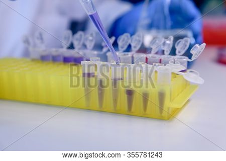 Scientist Working With A Pipette And A Flask, In Plastic Tubes For Dna Studies. Concept Of Science,