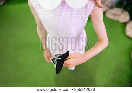 Thin Little Girl In Summer Dress Holding Black Butterfly Insect On Her Hand In Insectarium Education