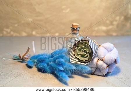 Succulent, Hare-tail And Cotton. Decorative Floral Elements On A Grey Concrete Background. Space For