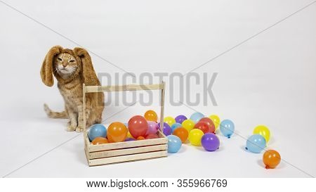 Easter Eggs. Happy Easter Card. Multi-colored Easter Eggs And Rabbit. Easter Eggs On A Light Backgro
