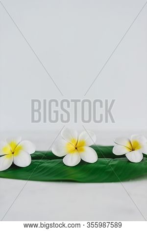 Monoi Flowers On Tropical Green Leaf On Calming White Background