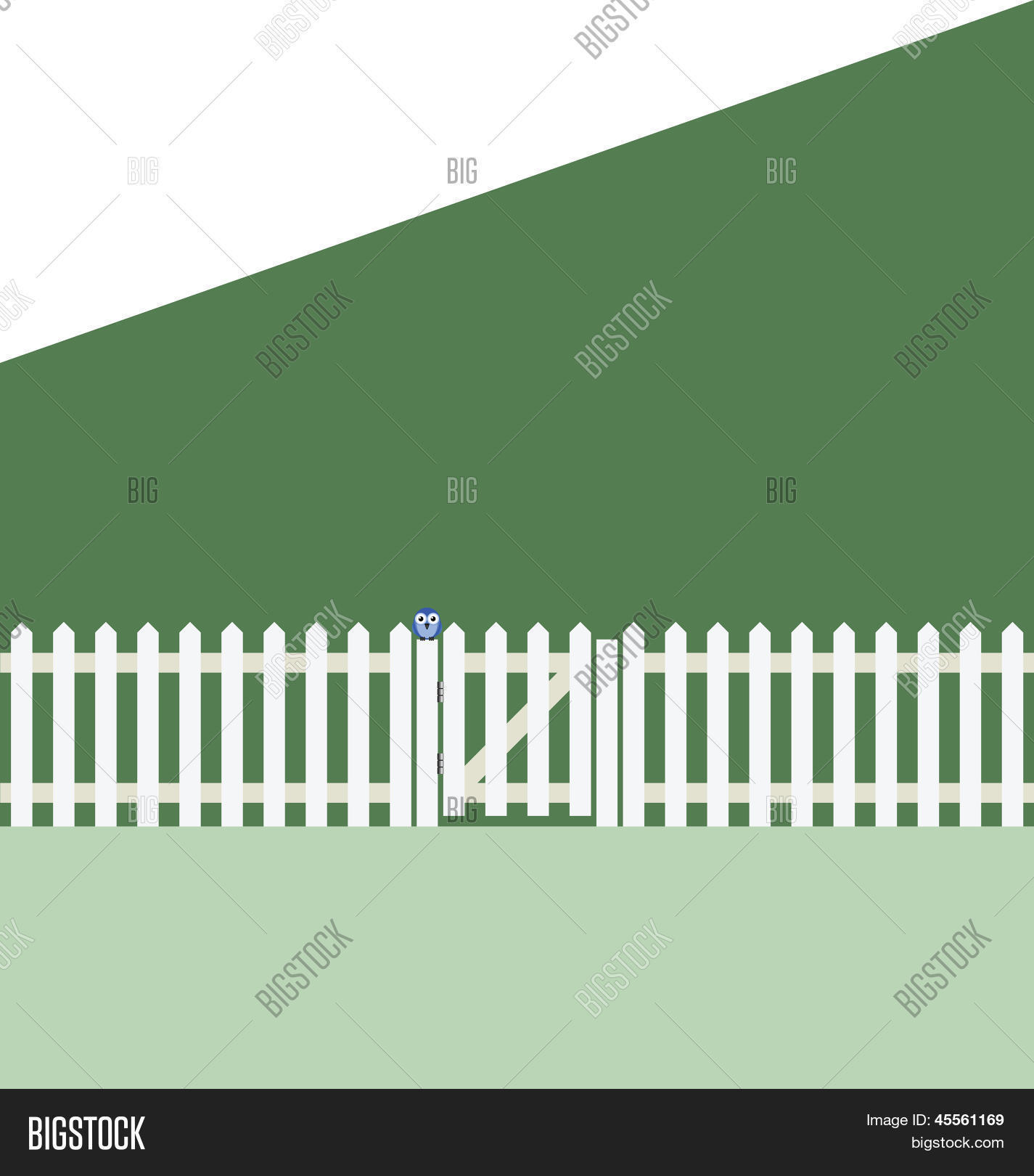 Image Preview