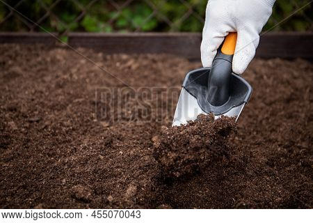 Diging The Soil With A Garden Shovel In Human Hand. Gardening