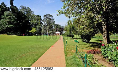 Beautiful Government Botanical Gardens In Ooty, Tamilnadu, India.