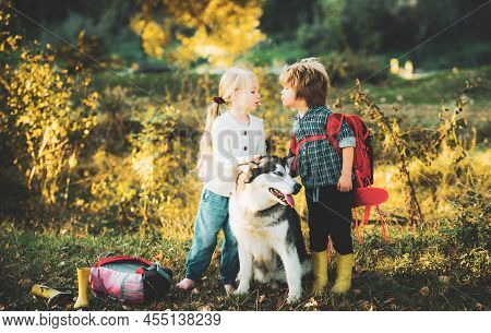 Children Camping With Pet Dog. Children And Dog Exploring. Summer Portrait Of Happy Cute Children - 
