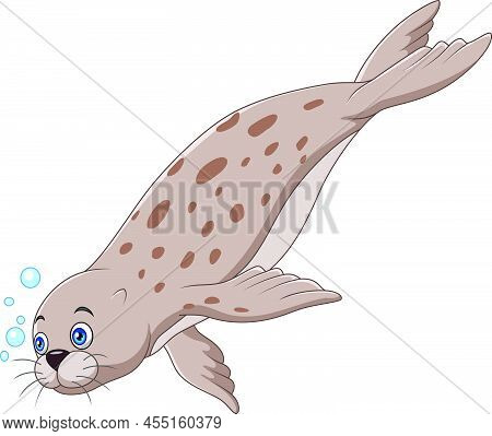 Vector Illustration Of Cartoon Seal Swimming On White Background