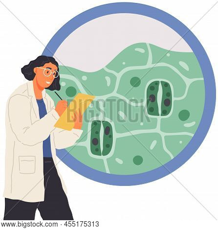 Scientist Conducts Analysis Of Life System And Organisms. Idea Of Education, Microbiology, Biology. 