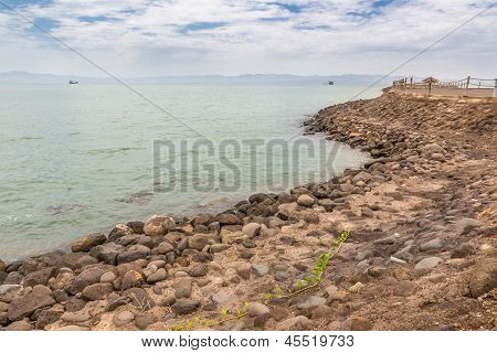 Red Sea kyster