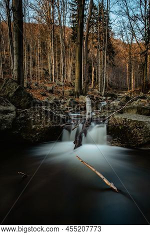 Czech Natural Reserve Called Jizerskohorske Buciny,jizera Mountain Beechwood, On Unesco List.unique 