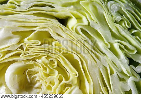 Close Up Of Green Cabbage, Selective Focus. Texture Of Cut Salad Cabbage. Textured Pattern Of Cabbag