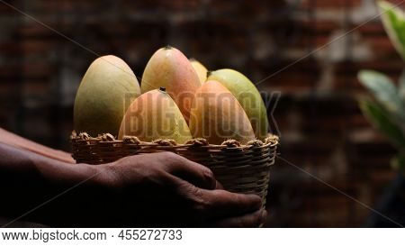 Female Holding Tasty Mangoes In Basket. Copy Space