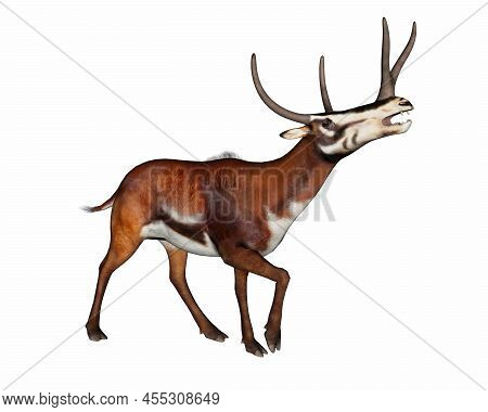 Kyptocera Mammal Walking And Roaring - 3d Render