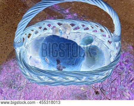 Inverted Colors - Numerous Mushrooms In A Basket, Dominated By Giant Aspen Mushroom | Big Basket Ful
