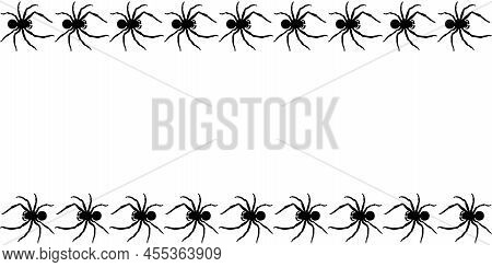 Spider Border Line Vector Border, Frame Vector & Photo (Free Trial) | Bigstock