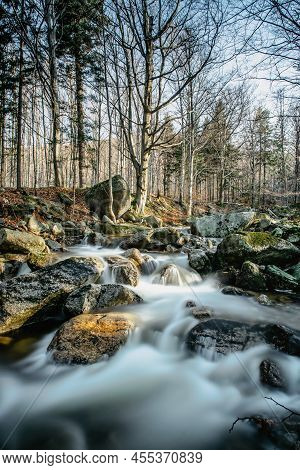 Czech Natural Reserve Called Jizerskohorske Buciny,jizera Mountain Beechwood, On Unesco List.unique 