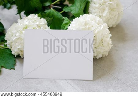 Empty Frame Wits Place For Text And Bouquet Of White Flower Viburnum Buldenezh In A Vase On The Tabl