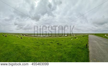 Sheep On A Green Dike At The North Sea Near Husum.