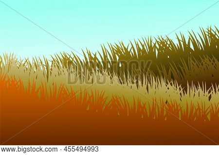 Grass. Nature Rural Landscape. Pasture Overgrown. Autumn View. Overgrown Dense Lawn. Vector.