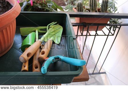 Gardening Home. Girl Replanting Green Pasture In Home Garden.indoor Garden, Room With Plants Banner 