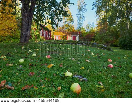 Old Garden In Aulanko Nature Reserve And Recreation Area In Finnish City Of Hameenlinna: Autumn, Col