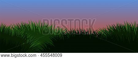 Grass. Morning View. Nature Rural Landscape. The Pasture Is Overgrown. Overgrown Dense Lawn. Horizon