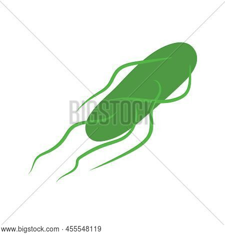 Salmonella Typhi Bacteria Cell Medical Diagram Icon