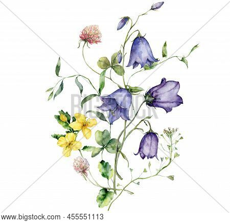 Watercolor Meadow Flowers Bouquet Of Clover, Chamomile And Campanula. Hand Painted Floral Poster Of 