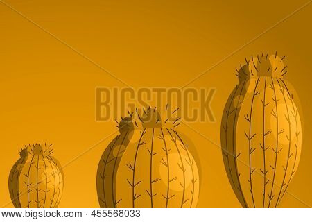 Tall Succulent Cactuses With Thorns On Color Background. Vector Drawing Set Illustration For Icon, G