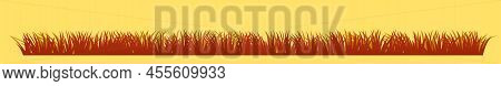 Grass. Autumn View. Nature Rural Landscape. Pasture Overgrown. Overgrown Dense Lawn. Vector.