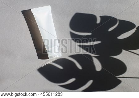 Plastic Tube For Cream Or Lotion On A Gray Background With A Shadow Of A Montera Leaves. Beauty Conc