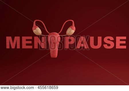 Menopause Written Word On Red Background. Female Internal Organ. Women's Health, Gynecology Concept.