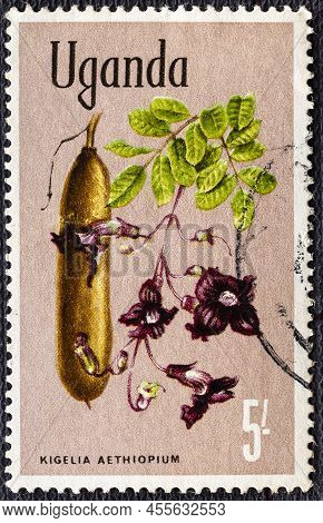 Uganda - Circa 1969: A Stamp Printed In Uganda Shows Kigelia Aethiopium, Flowers.