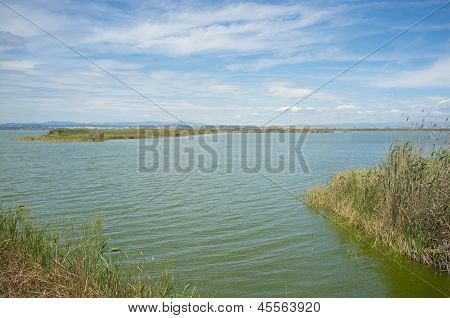 La Albufera, Valencia, İspanya