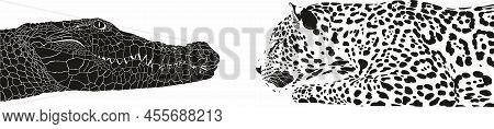 Black And White Illustration Of A Crocodile Latin Crocodylus And A Jaguar American Latin Panthera On
