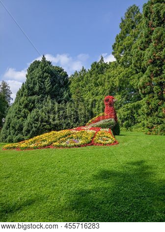 Composition Of Flowers In The Form Of A Peacock In The Park On The Island Of Flowers Mainau, Constan