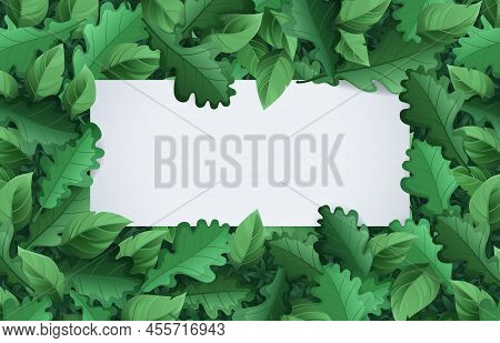 Spring Summer Banner With Green Foliage. Vector Cartoon Poster With Blank White Copy Scape And Frame